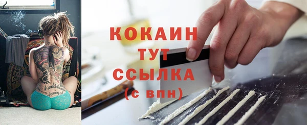 прущие грибы Верея