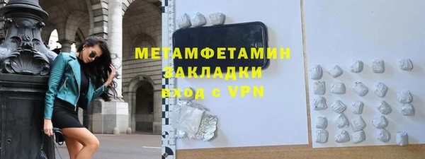 прущие грибы Верея