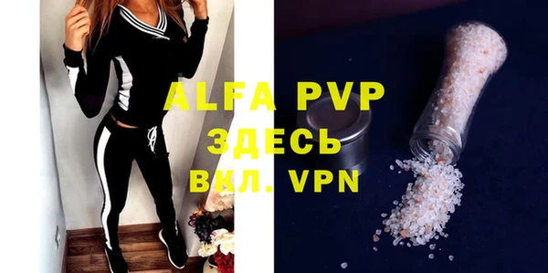прущие грибы Верея