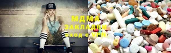 прущие грибы Верея